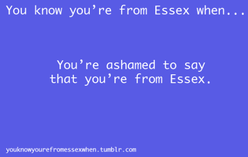 tumblr_lm0ykpuzRS1qkht8fo1_500.png