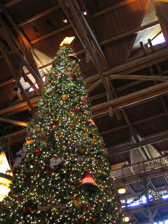IMG7309-XL.jpg