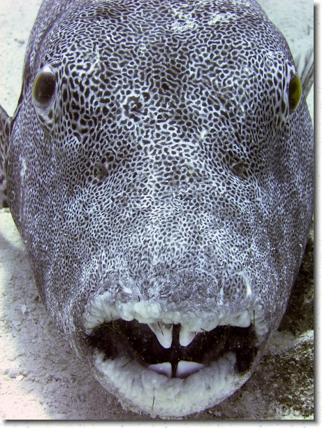 R0010655_edited.JPG