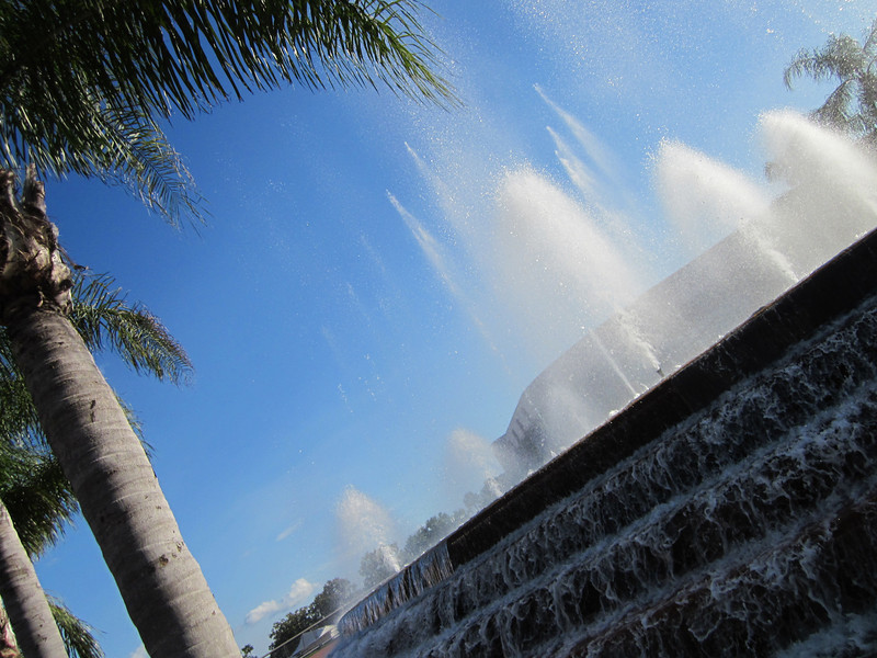 IMG0512-L.jpg