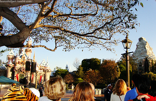 tumblr_lxygorRMjZ1qa23mco1_500.jpg