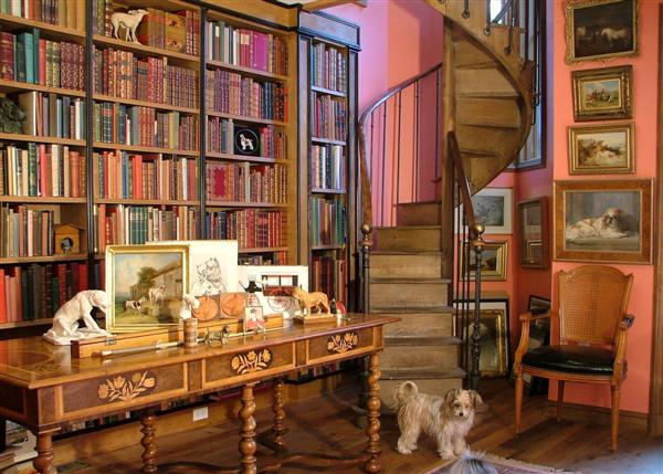 home-library-with-staircase-and-dog.jpg