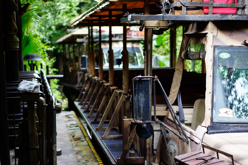 _DSC6562-XL.jpg