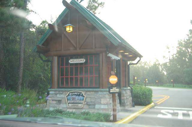 DSC_0019.JPG