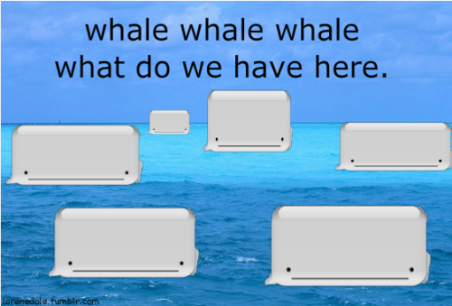 tumblr_lr8ht5l3rb1r0kdcuo1_500.png