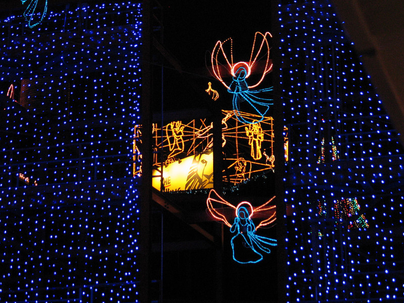 IMG7620-L.jpg