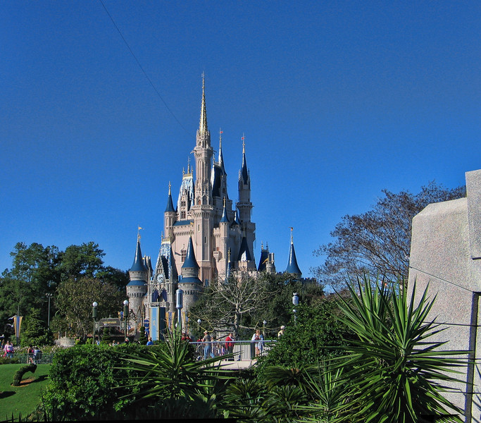 IMG6785-L.jpg