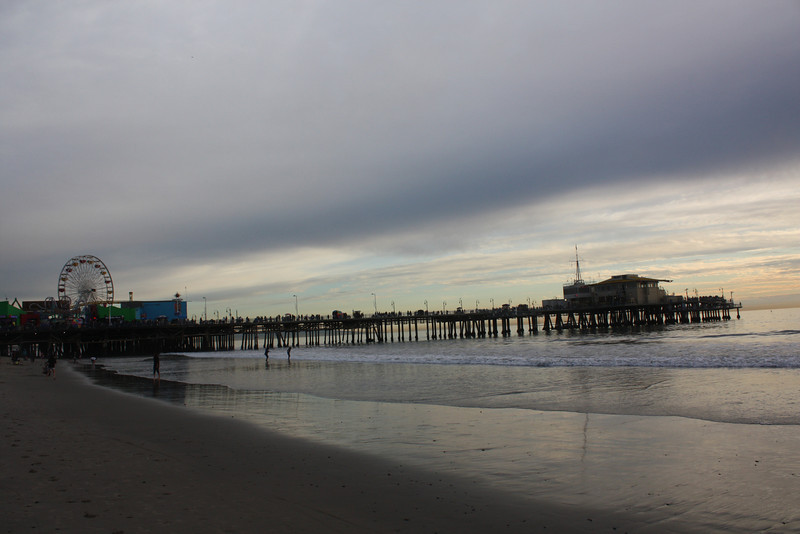 IMG_1084-L.jpg