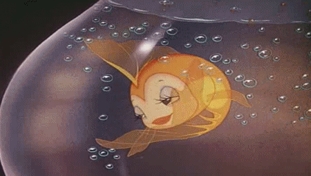 tumblr_lh6l3jW2ho1qfmvv1o1_500.gif