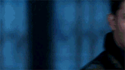 tumblr_lh6cdhyIL61qafrh6.gif
