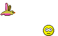 bird-pooping.gif