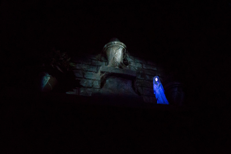DSC_3849-L.jpg