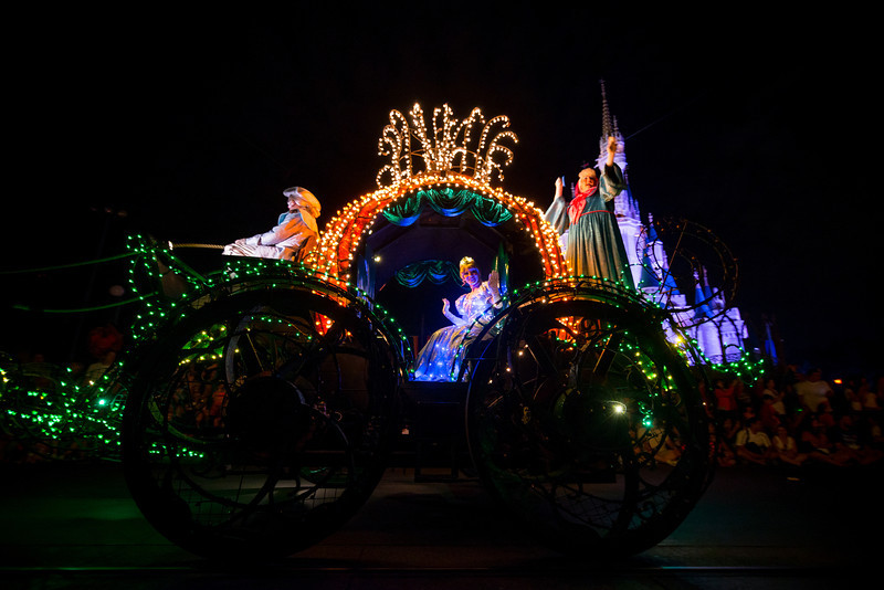 DSC_1577-L.jpg