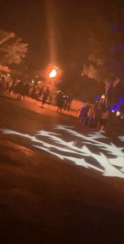 giphy.gif