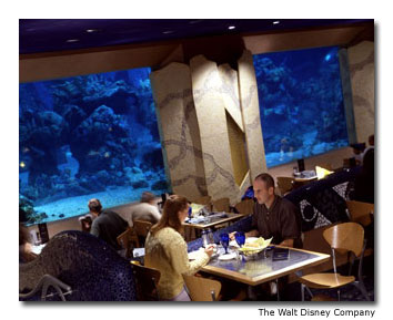 coralreef.jpg