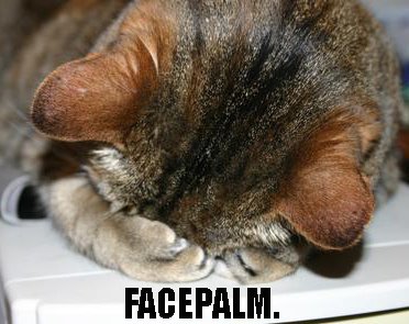 facepalm-cat.jpg