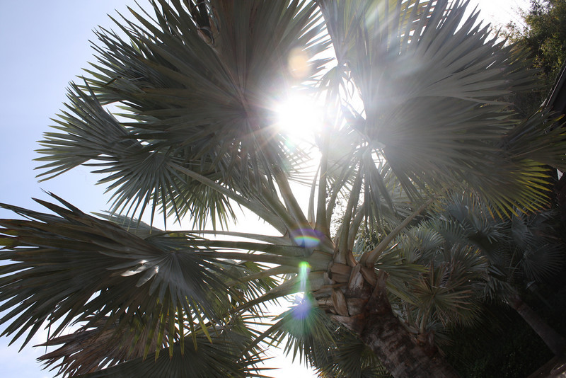 1211141503_ovRPe-L.jpg