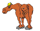 Horse_and_fly.gif
