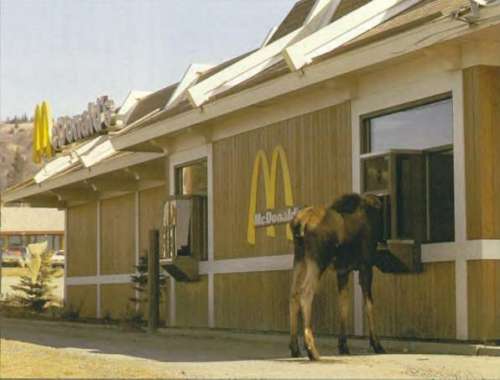 moosemacs.jpg