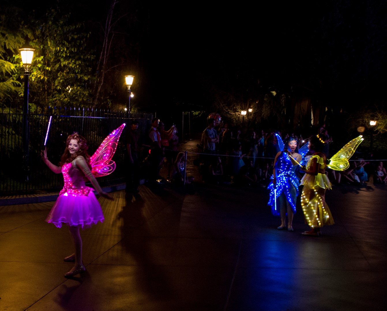 DSC_4374%20(Large).jpg