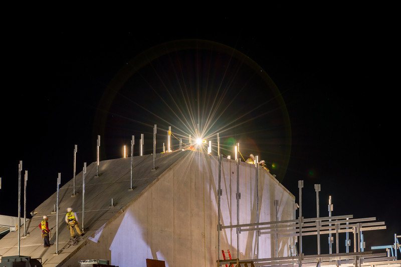 DSC_2447-L.jpg