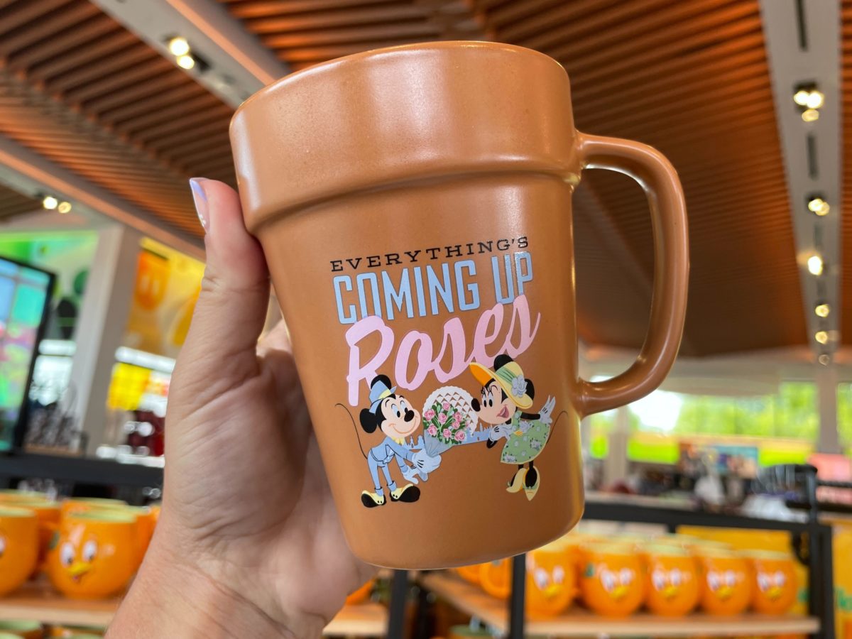 WDW-Flower-Garden-flower-pot-mug-passholder-17-1200x900.jpg