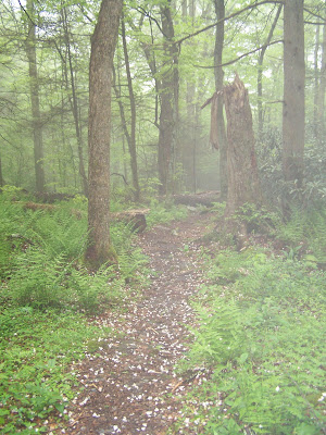 100_6374.JPG