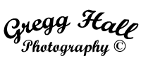 295301295_GLZEv-L.png