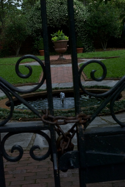 savannah-30.jpg