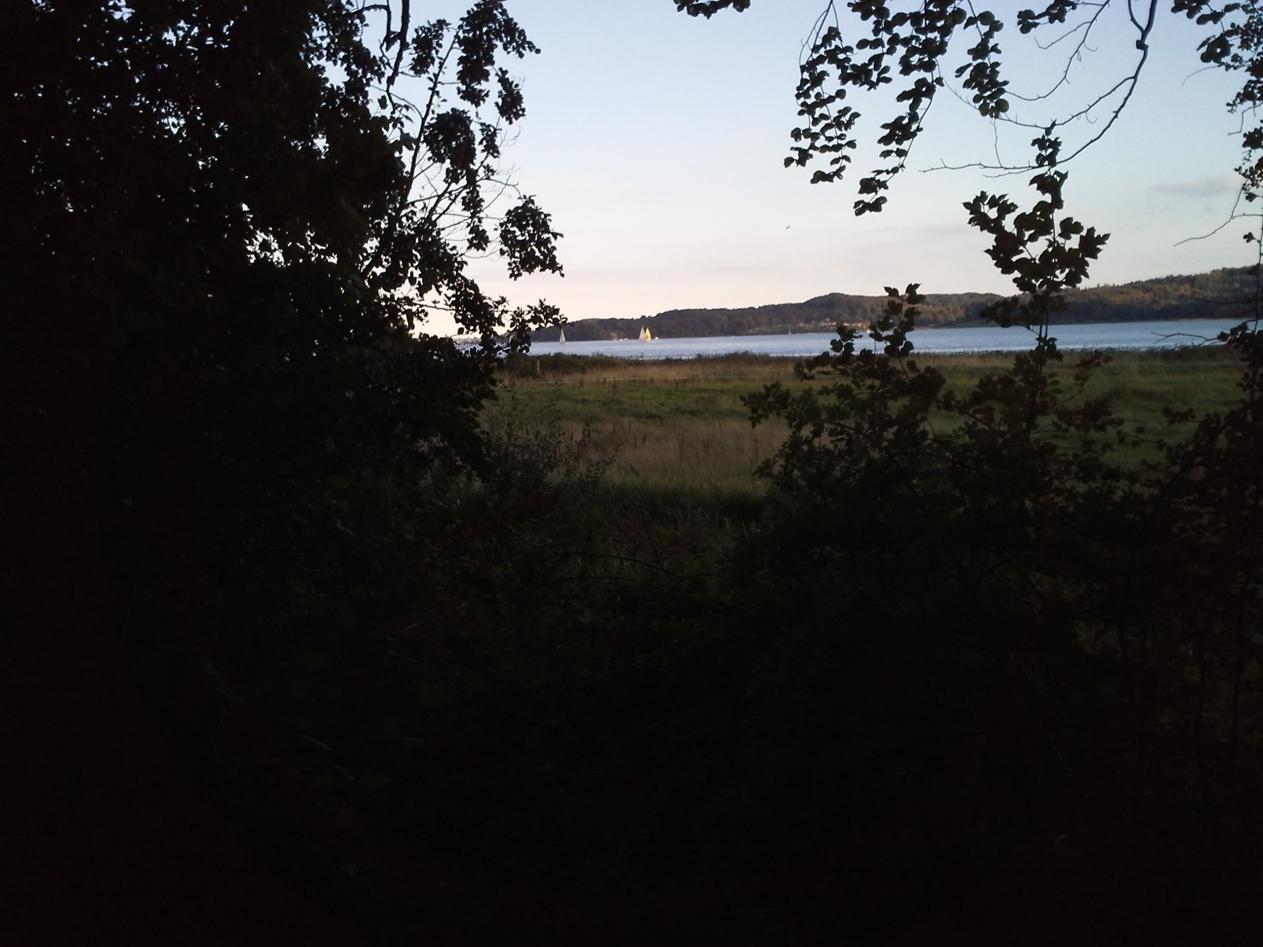 20160816-194527.jpg