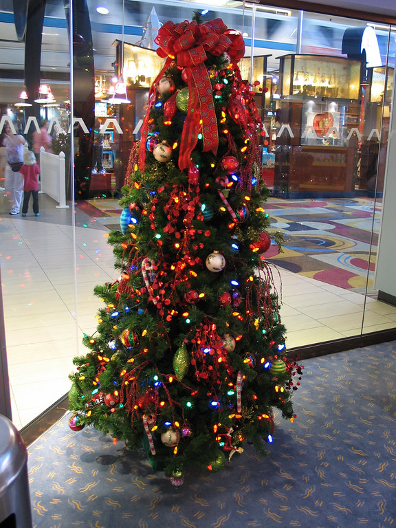 IMG_6448-XL.jpg