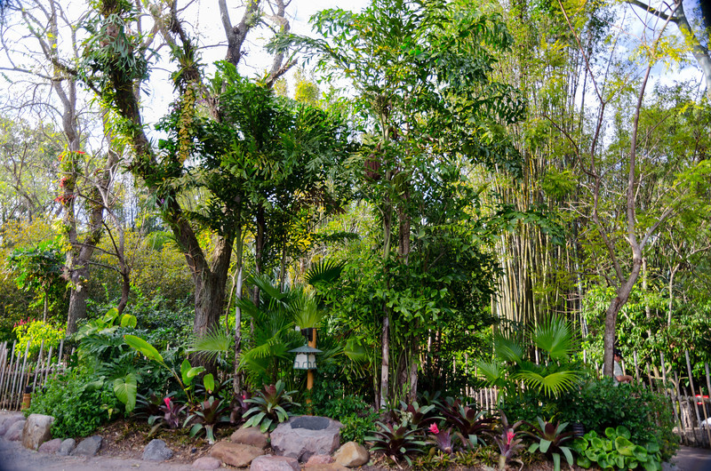 DSC0276-L.jpg