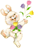 bunny5.gif