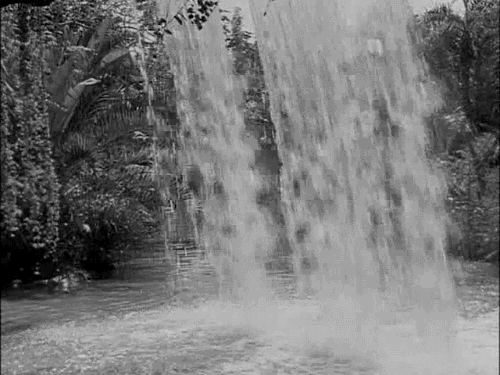 tumblr_n22m1nlBDz1s2wio8o2_500.gif