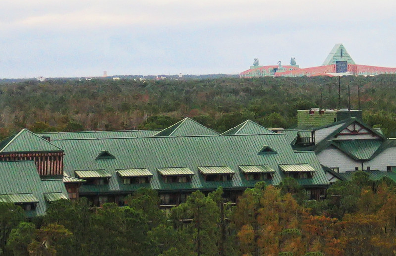 IMG6441-L.jpg