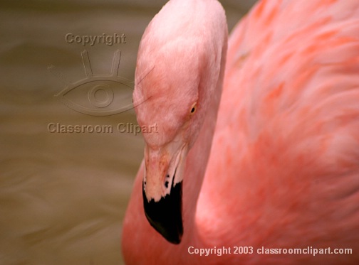 DSC_6063w.jpg