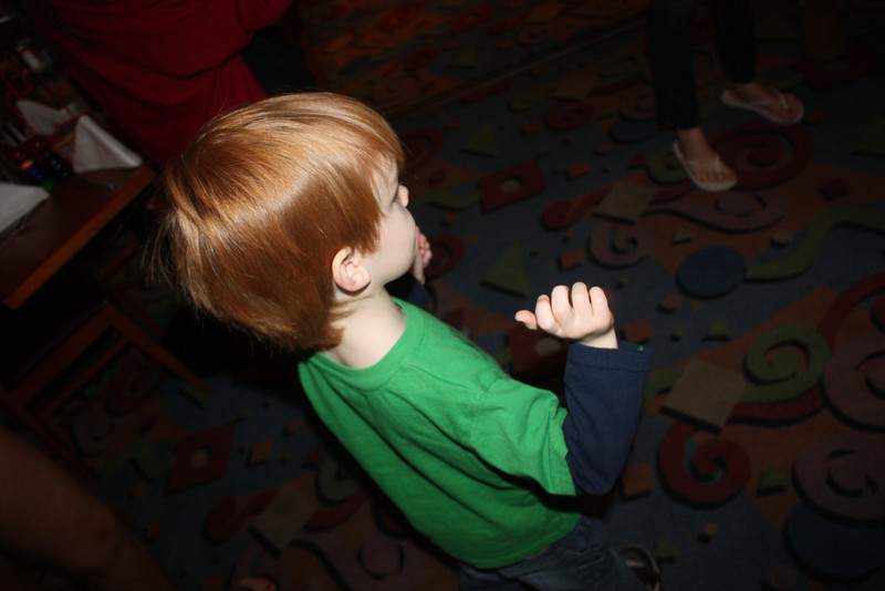 IMG0684-L.jpg