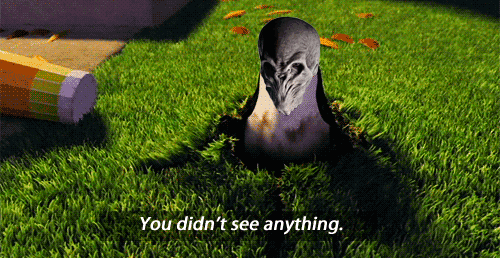 tumblr_lp8m5q3Brr1qasz7io1_r1_500.gif