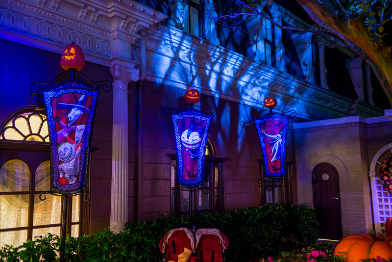 DSC_1259-L.jpg