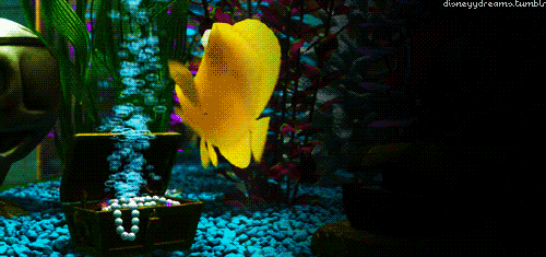 tumblr_mbyar66YFx1qhupn6o1_500.gif