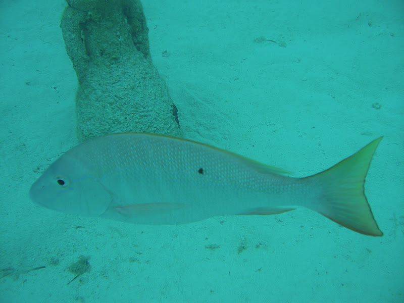 Picture%20080.jpg
