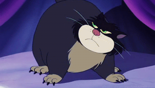 Cinderella-disney-22345528-500-285.gif