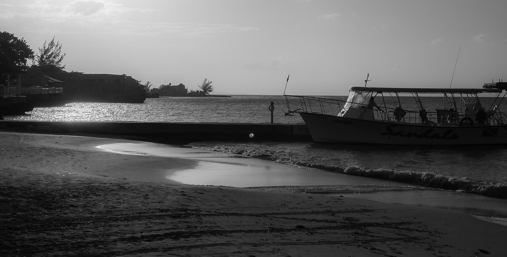 DSC01175-XL.jpg