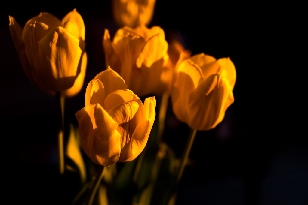 DSC02873-XL.jpg