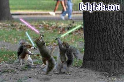 Nutty_squirrels.jpg
