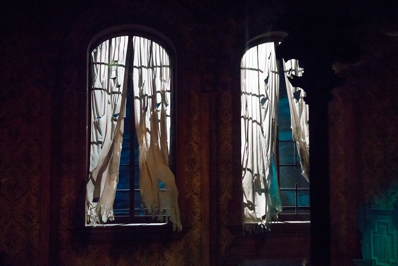 DSC_1207-L.jpg