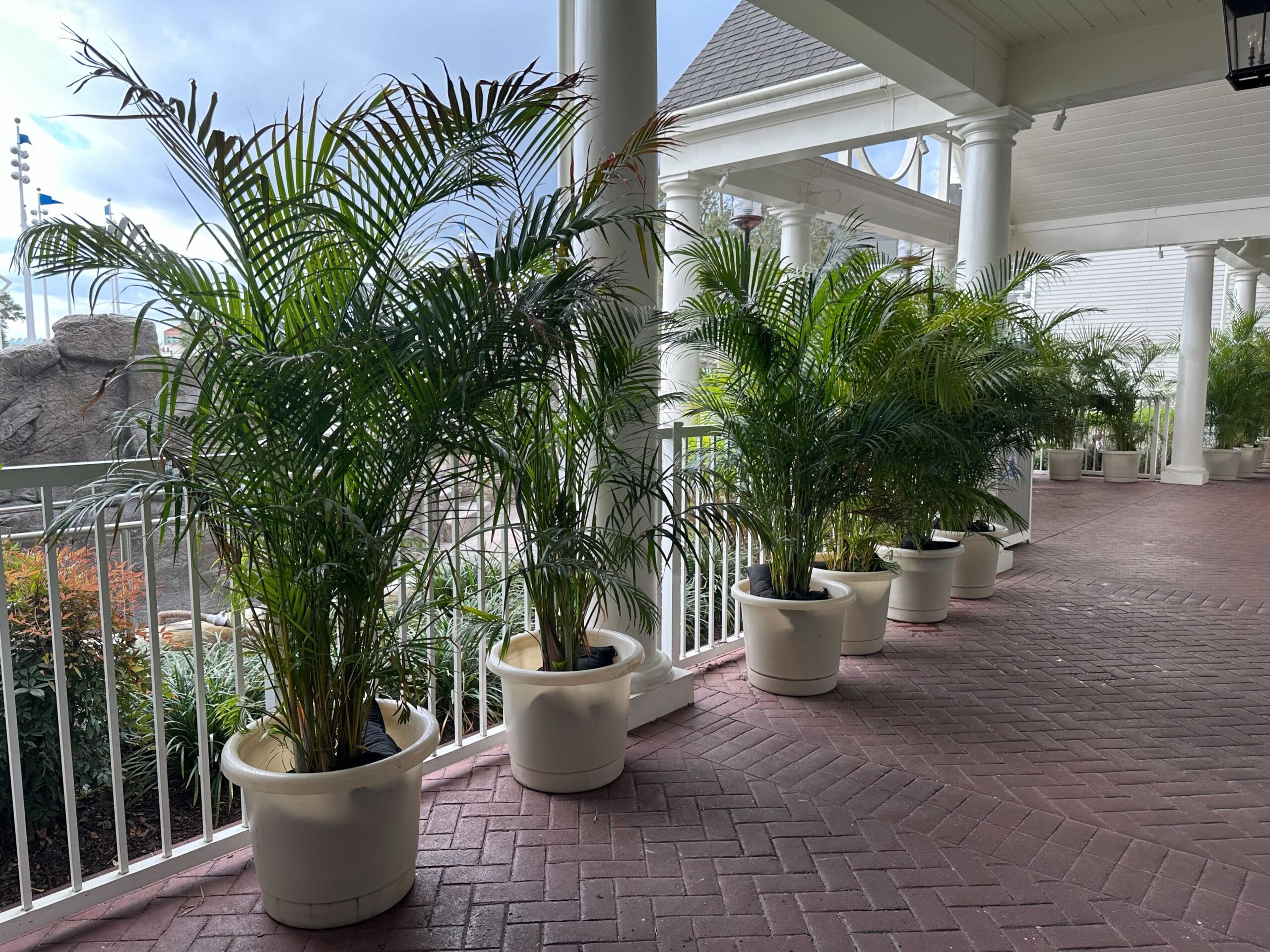 Several large potted plants line a covered brick walkway with white railings and columns.