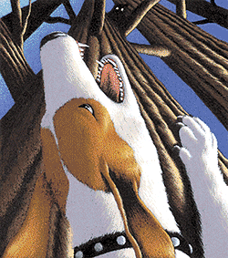 dog.gif