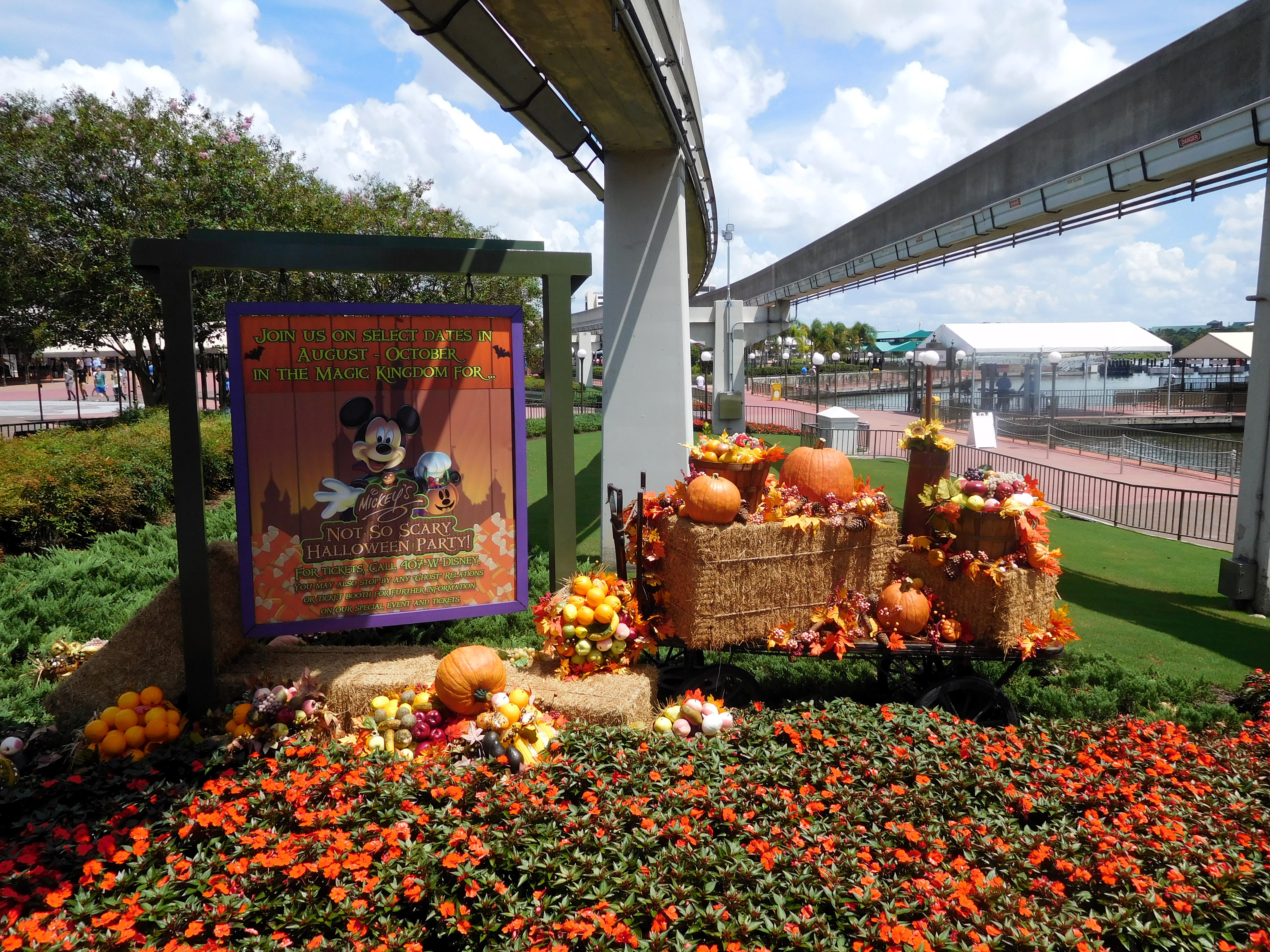 DSCN2572.jpg