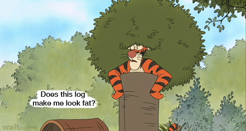 tumblr_loq87nYokc1qhzp8io1_500.gif